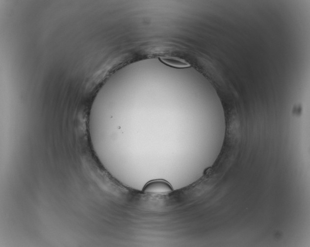 X0000110920282200907021506