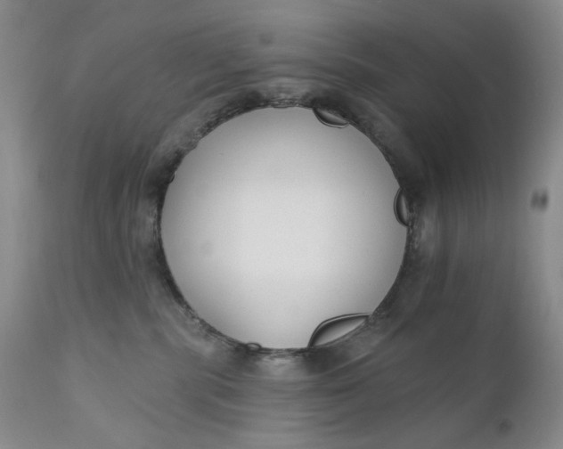 X0000110920283200907021506