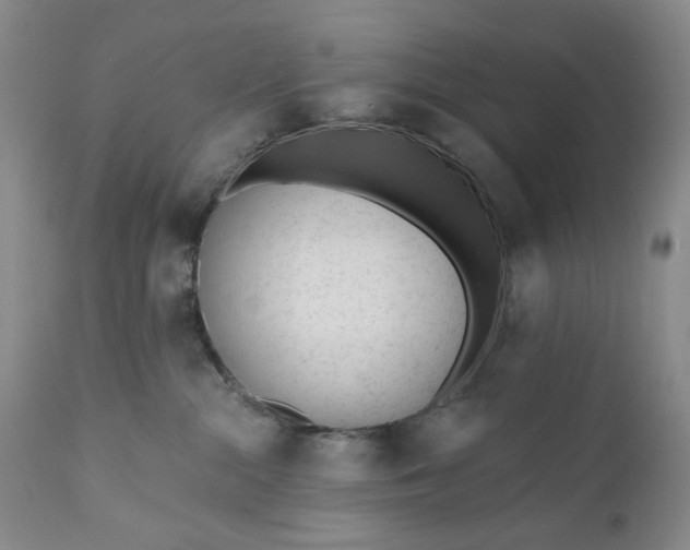 X0000110920284200907021506