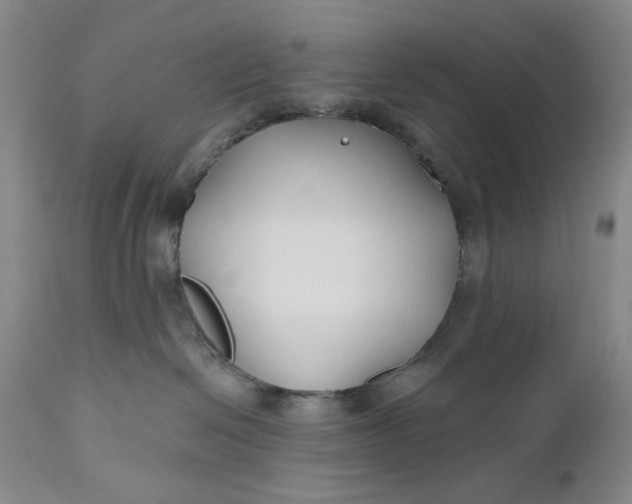 X0000110920286200907021506