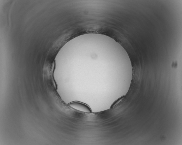 X0000110920287200907021507