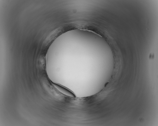 X0000110920288200907021507