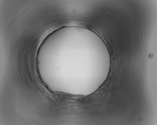 X0000110920289200907021506