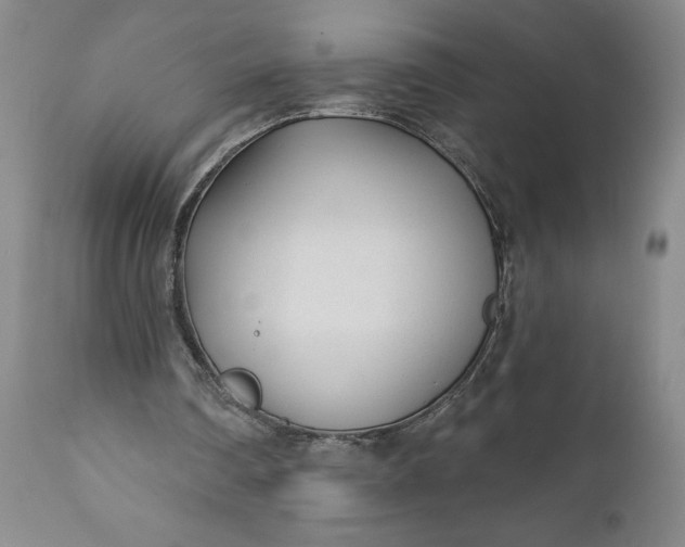 X0000110920290200907021506