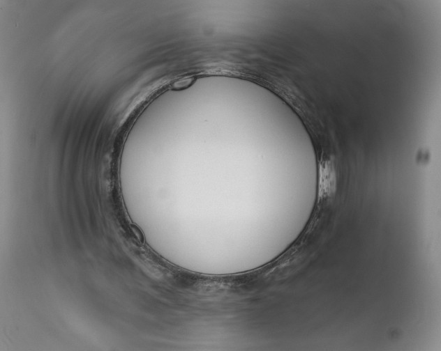 X0000110920291200907021506