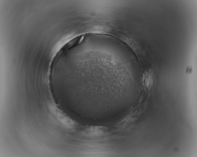 X0000110920292200907021506