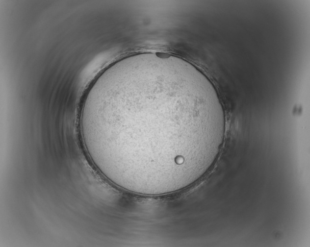 X0000110920293200907021506