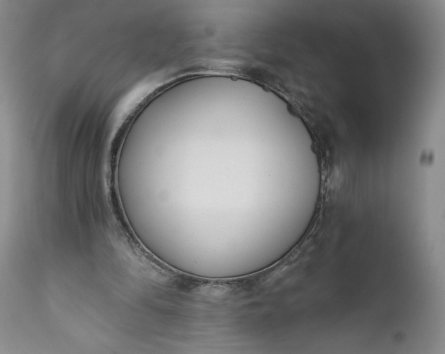 X0000110920294200907021506