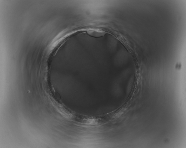 X0000110920295200907021506