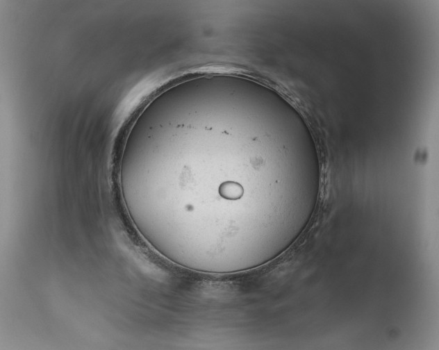 X0000110920296200907021506