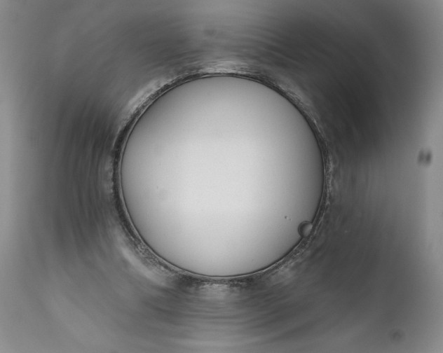 X0000110920298200907021506