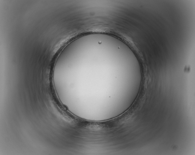 X0000110920299200907021506