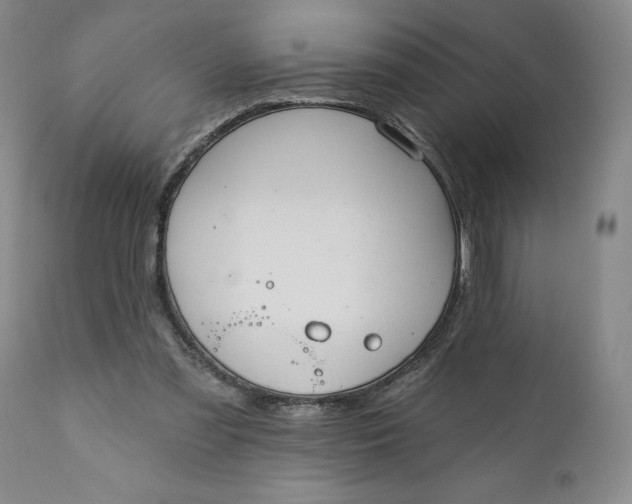 X0000110920301200907021506
