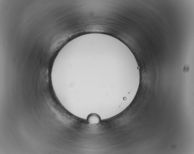 X0000110920302200907021506