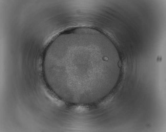 X0000110920303200907021506