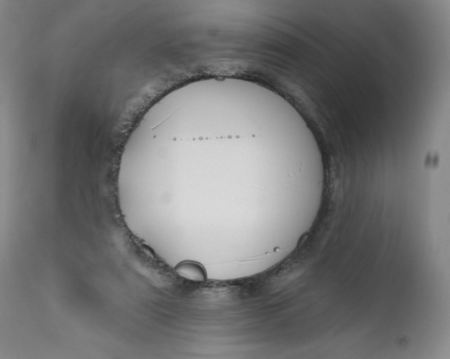 X0000110920307200907021506