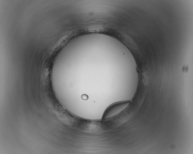 X0000110920308200907021506
