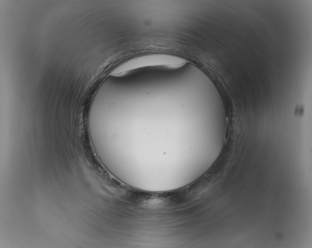 X0000110920312200907021506