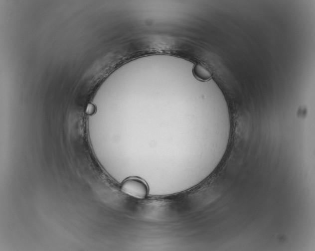 X0000110920313200907021506