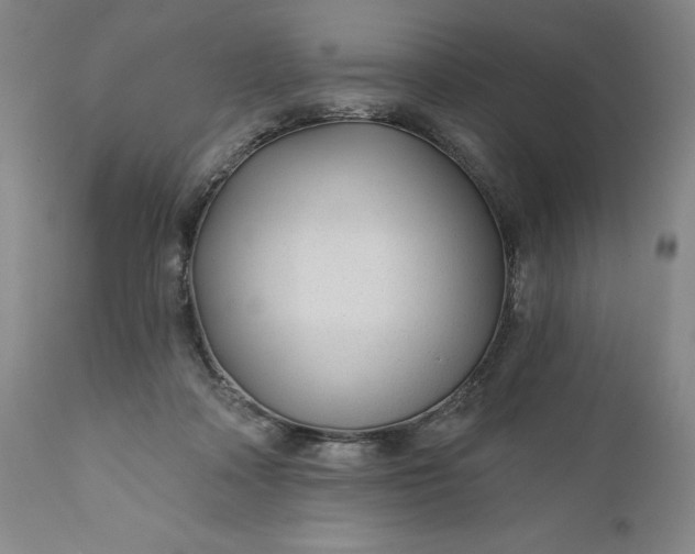 X0000110920314200907021506