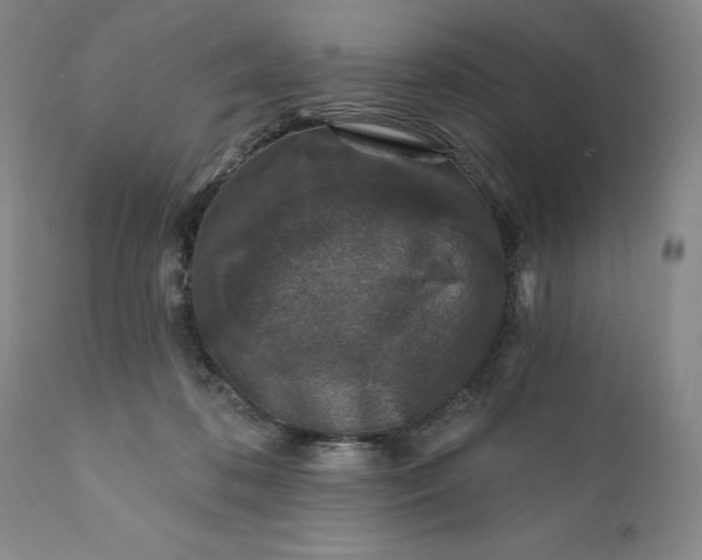 X0000110920316200907021505