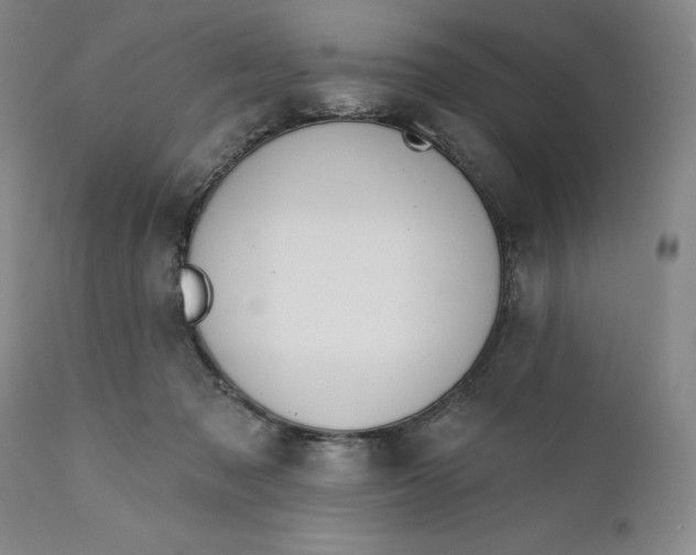 X0000110920317200907021505