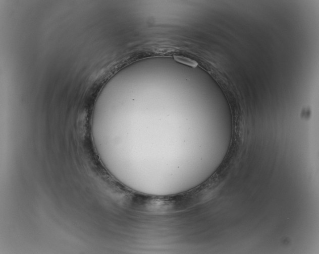 X0000110920319200907021505