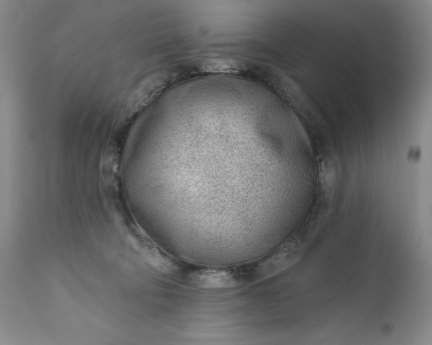 X0000110920322200907021505