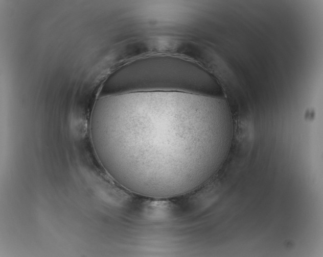 X0000110920324200907021505