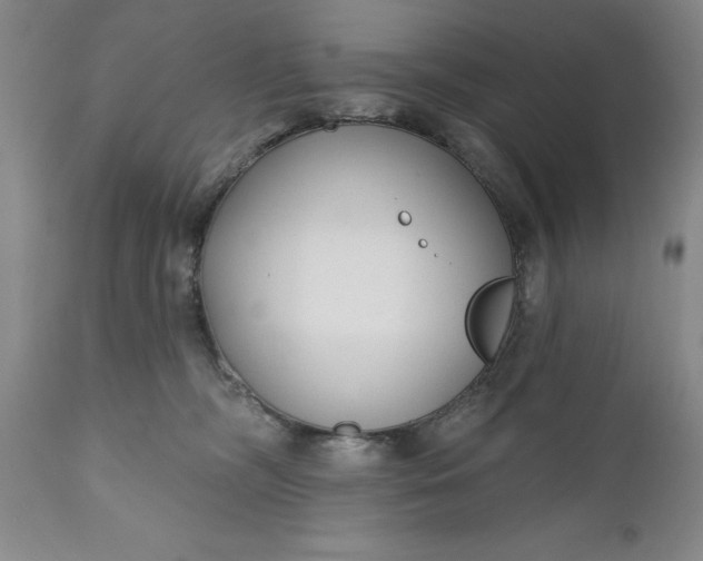 X0000110920326200907021505
