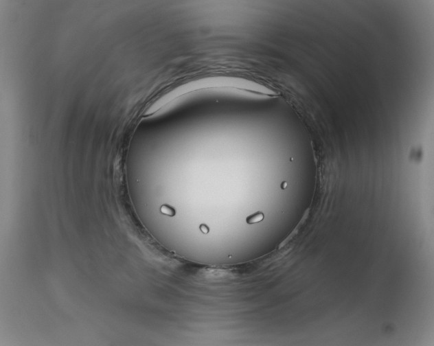 X0000110920327200907021505