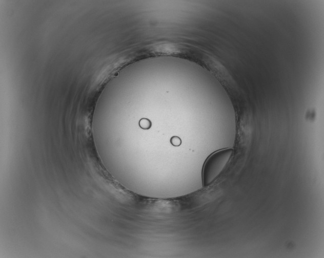 X0000110920330200907021505