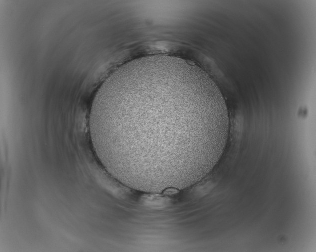 X0000110920331200907021505