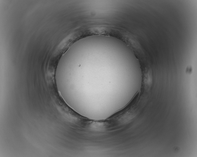 X0000110920332200907021505