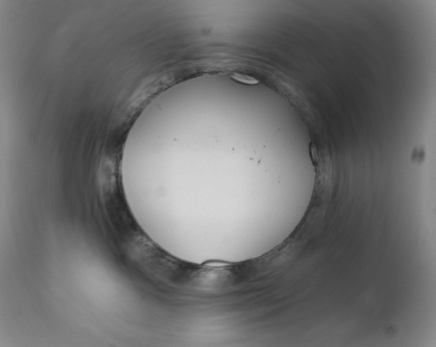 X0000110920333200907021505