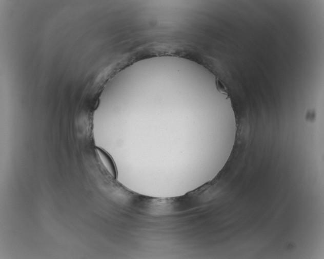 X0000110920335200907021505
