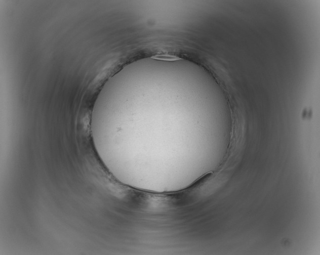 X0000110920336200907021505