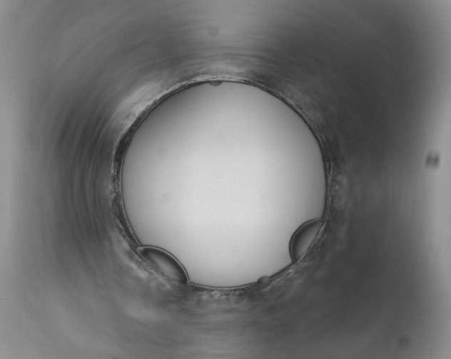 X0000110920338200907021505