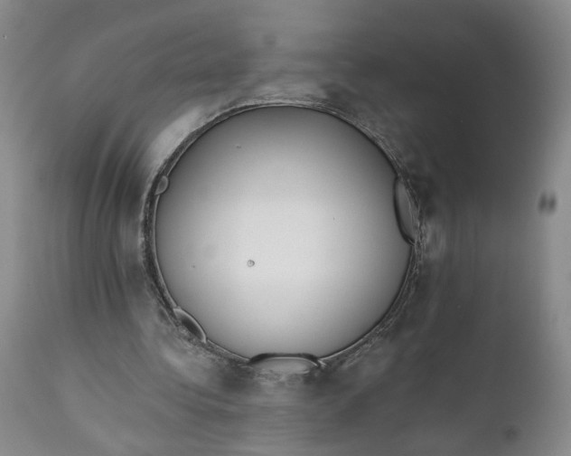 X0000110920340200907021505