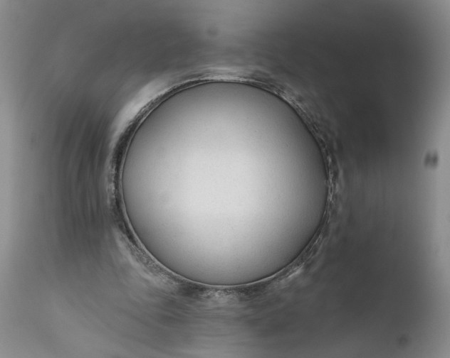 X0000110920343200907021505