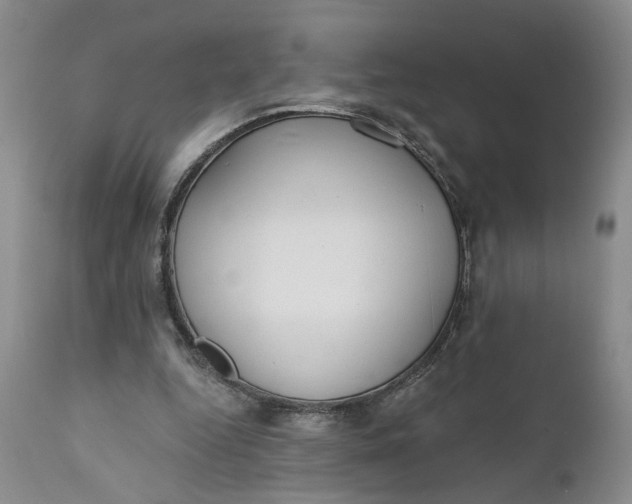 X0000110920344200907021505