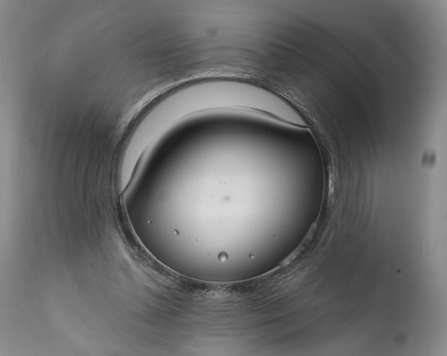 X0000110920348200907021505