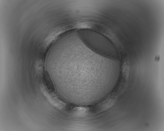 X0000110920352200907021505
