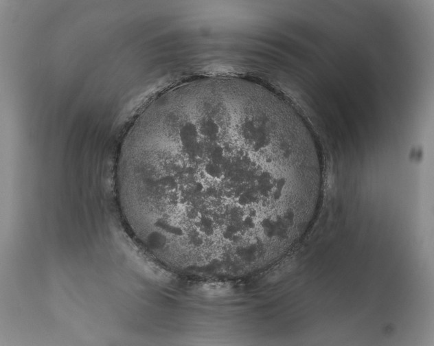 X0000110920353200907021505