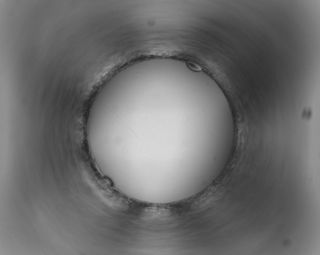 X0000110920354200907021505