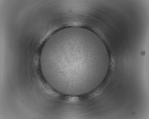 X0000110920355200907021505