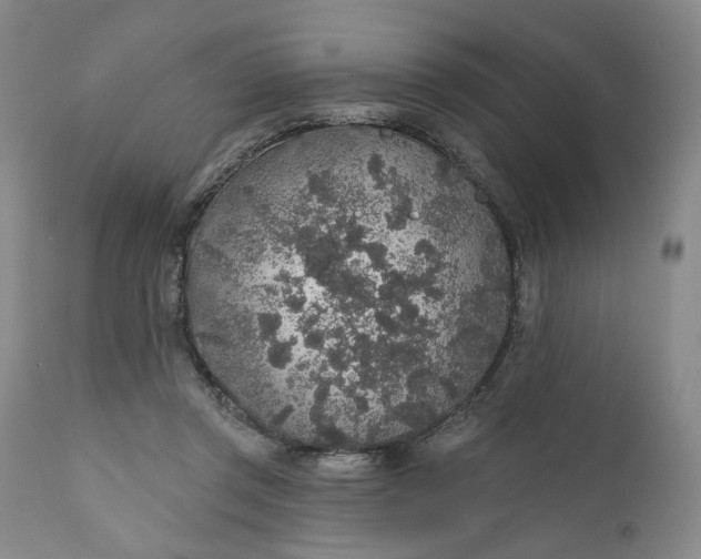 X0000110920357200907021505
