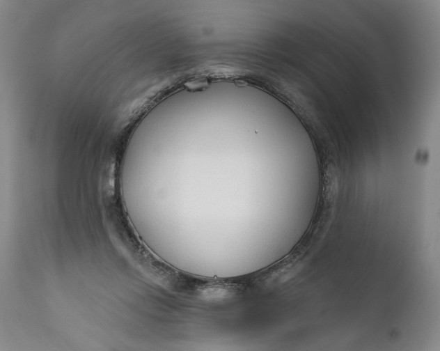 X0000110920358200907021505
