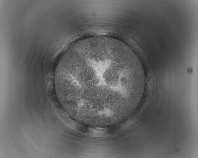 X0000110920359200907021505