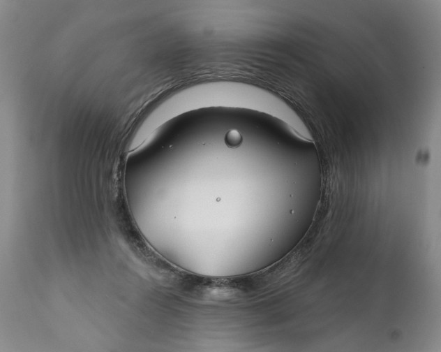X0000110920360200907021505